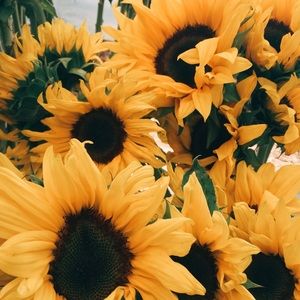 Meet your Posher, Taryn